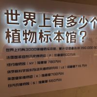評論圖片 4