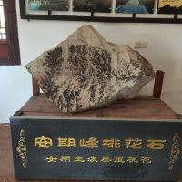 評論圖片 4