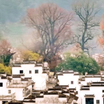 評論圖片 1