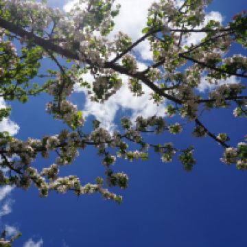 評論圖片 2