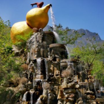 評論圖片 5