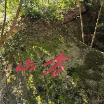 評論圖片 2