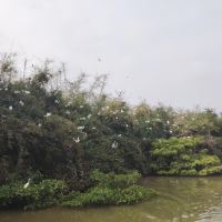 評論圖片 3