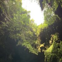 評論圖片 2