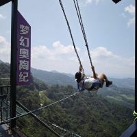 評論圖片 4