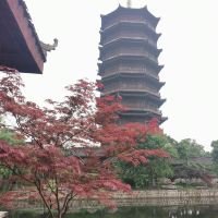 評論圖片 3