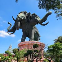 評論圖片 5