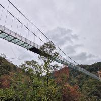評論圖片 5