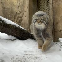 評論圖片 2