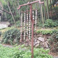 評論圖片 6