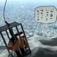 評論圖片 4