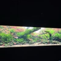 評論圖片 7