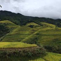 評論圖片 6