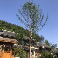評論圖片 8