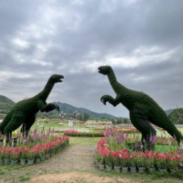 評論圖片 5