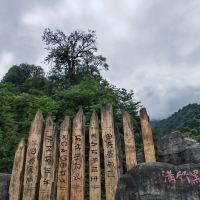 評論圖片 9