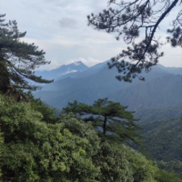 評論圖片 1