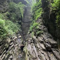 評論圖片 6
