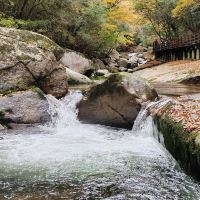 評論圖片 5