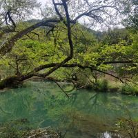 評論圖片 1