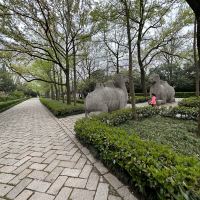 評論圖片 7