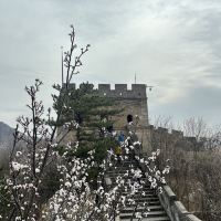 評論圖片 3