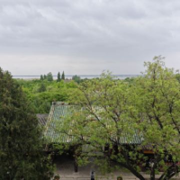 評論圖片 6
