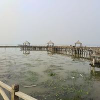 評論圖片 1