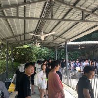 評論圖片 2