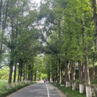 評論圖片 6