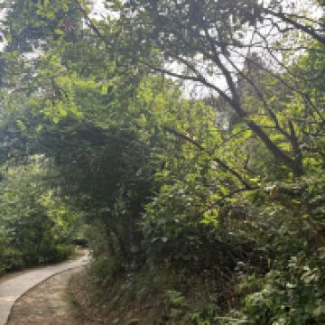 評論圖片 3