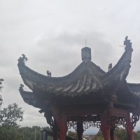 評論圖片 2
