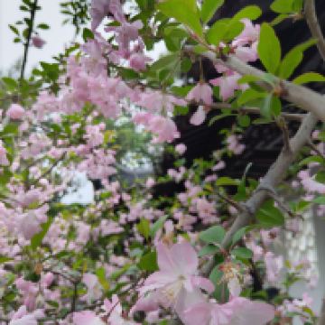 評論圖片 6