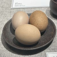 評論圖片 7