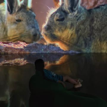 評論圖片 4