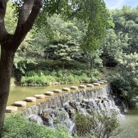 評論圖片 6