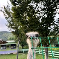 評論圖片 4