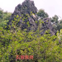 評論圖片 6