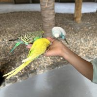 評論圖片 1