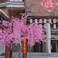 評論圖片 3