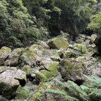 評論圖片 4