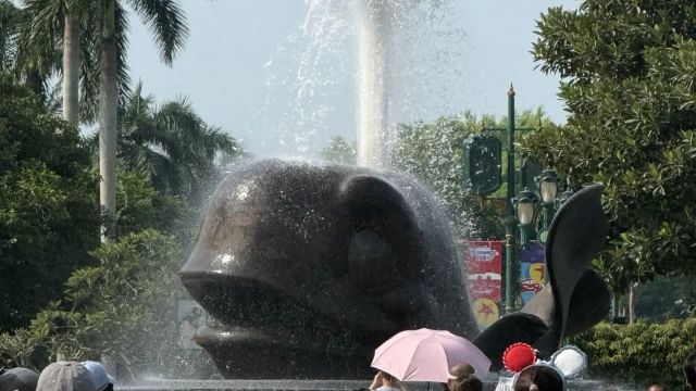review picture