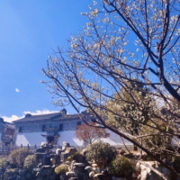 評論圖片 5