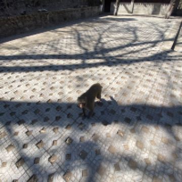 評論圖片 5
