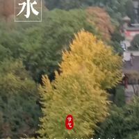 評論圖片 3