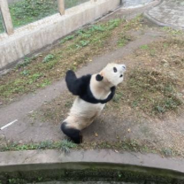 評論圖片 8