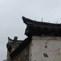 評論圖片 3