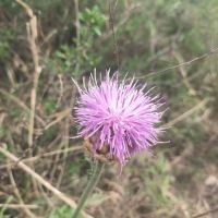 評論圖片 3