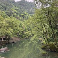 評論圖片 4