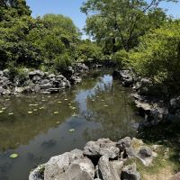 評論圖片 7